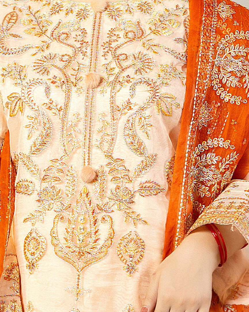 Rang-e-Sahar organza shirt embroidery detail β motifs & threadwork