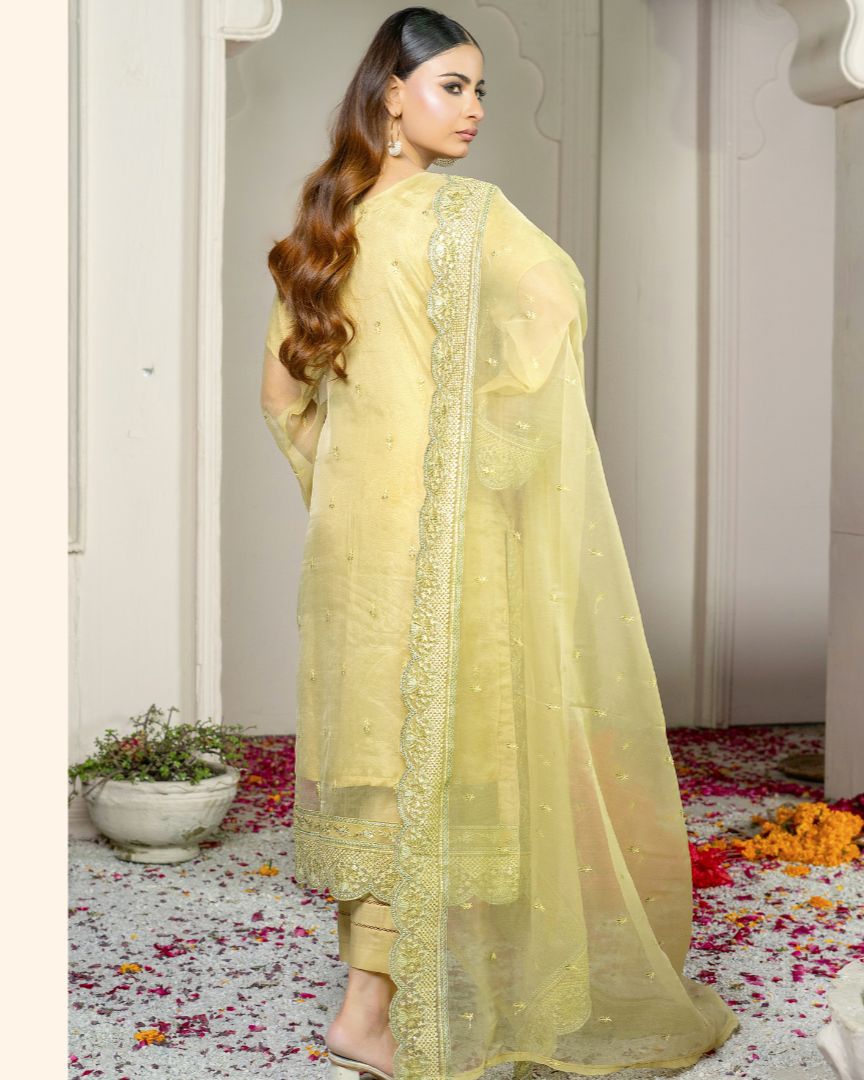 Back view of Chamak Tara showing embroidered organza shirt with refined motif detailing and coordinated trouser.