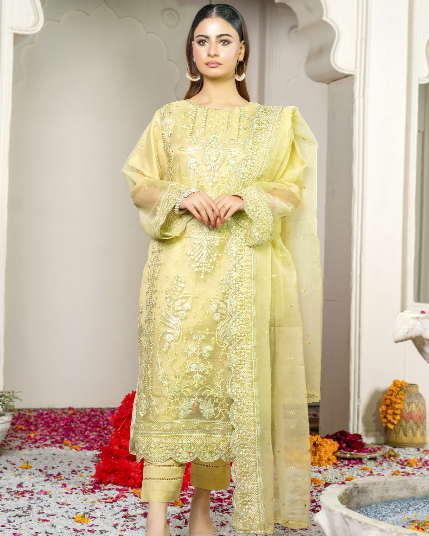Full front view of Qalamé’s Chamak Tara featuring an embroidered organza shirt with a dyed silk inner, an embroidered organza dupatta and a dyed raw silk trouser. The ensemble captures grace and elegance in rich detailing.