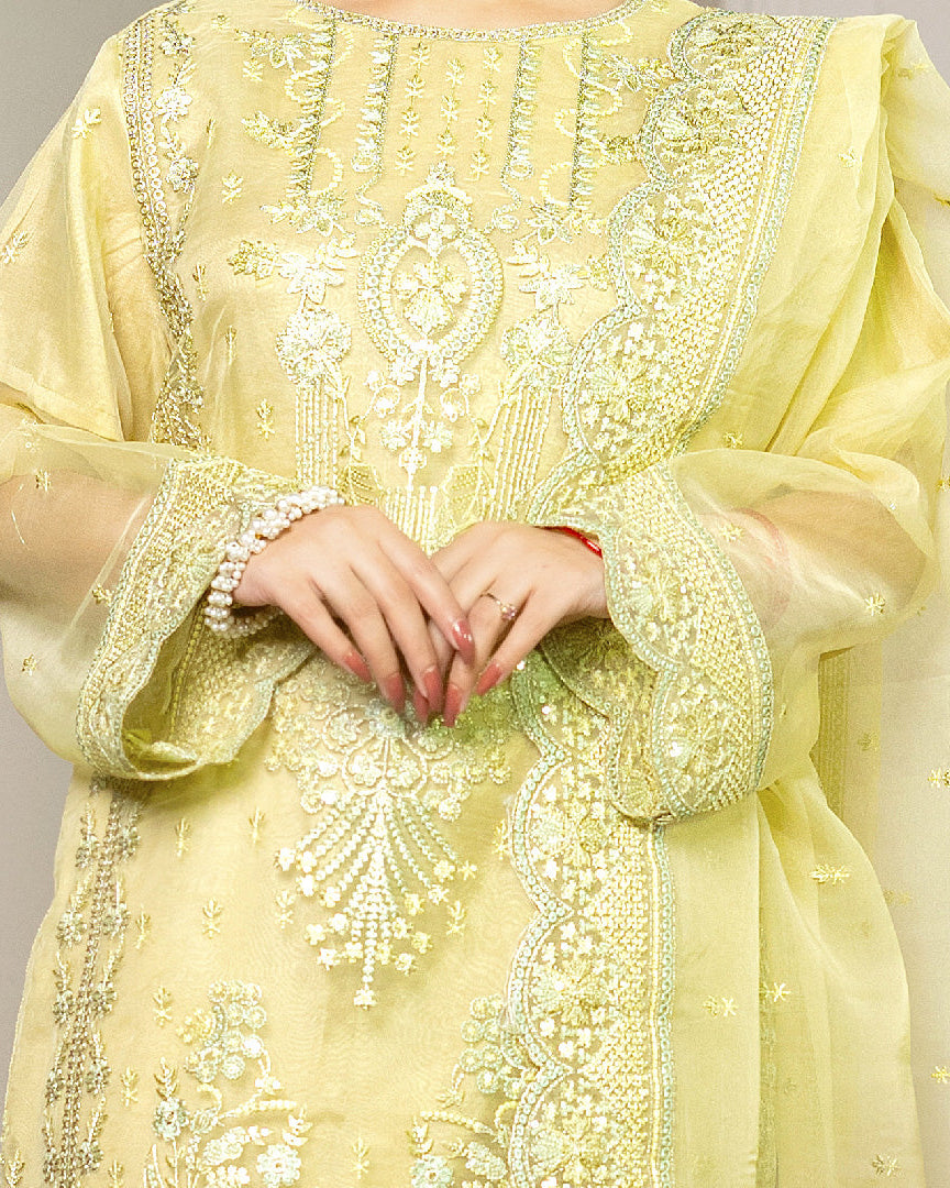 Neckline close up of Chamak Tara highlighting intricate embroidery pattern and craftsmanship on organza material.
