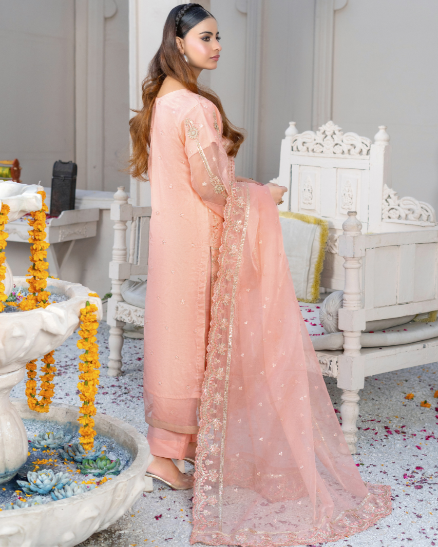 Back view of Dil Aroosa showing embroidered organza shirt with artistic motifs and graceful finishing, paired with a matching trouser.