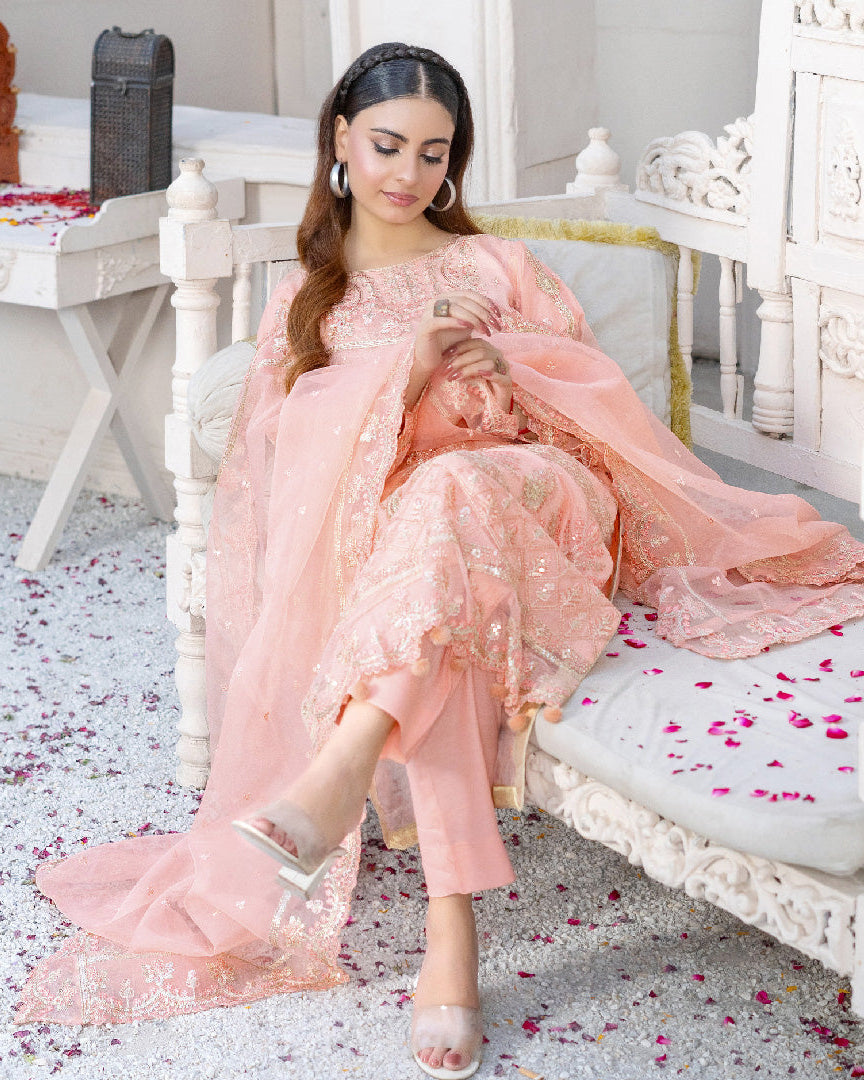 Full front view of Qalamé’s Dil Aroosa, a luxury formal ensemble featuring an embroidered organza shirt with dyed silk inner, embroidered organza dupatta, and raw silk trouser. The outfit showcases intricate craftsmanship and refined detailing.