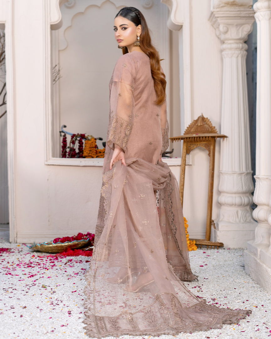 Gul-e-Farishta luxury formal back view – embroidered organza shirt, organza dupatta, raw silk trouser