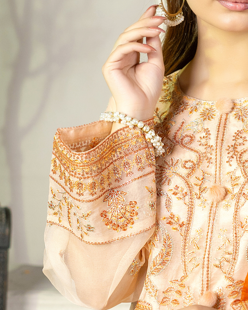 Rang-e-Sahar organza shirt embroidery detail