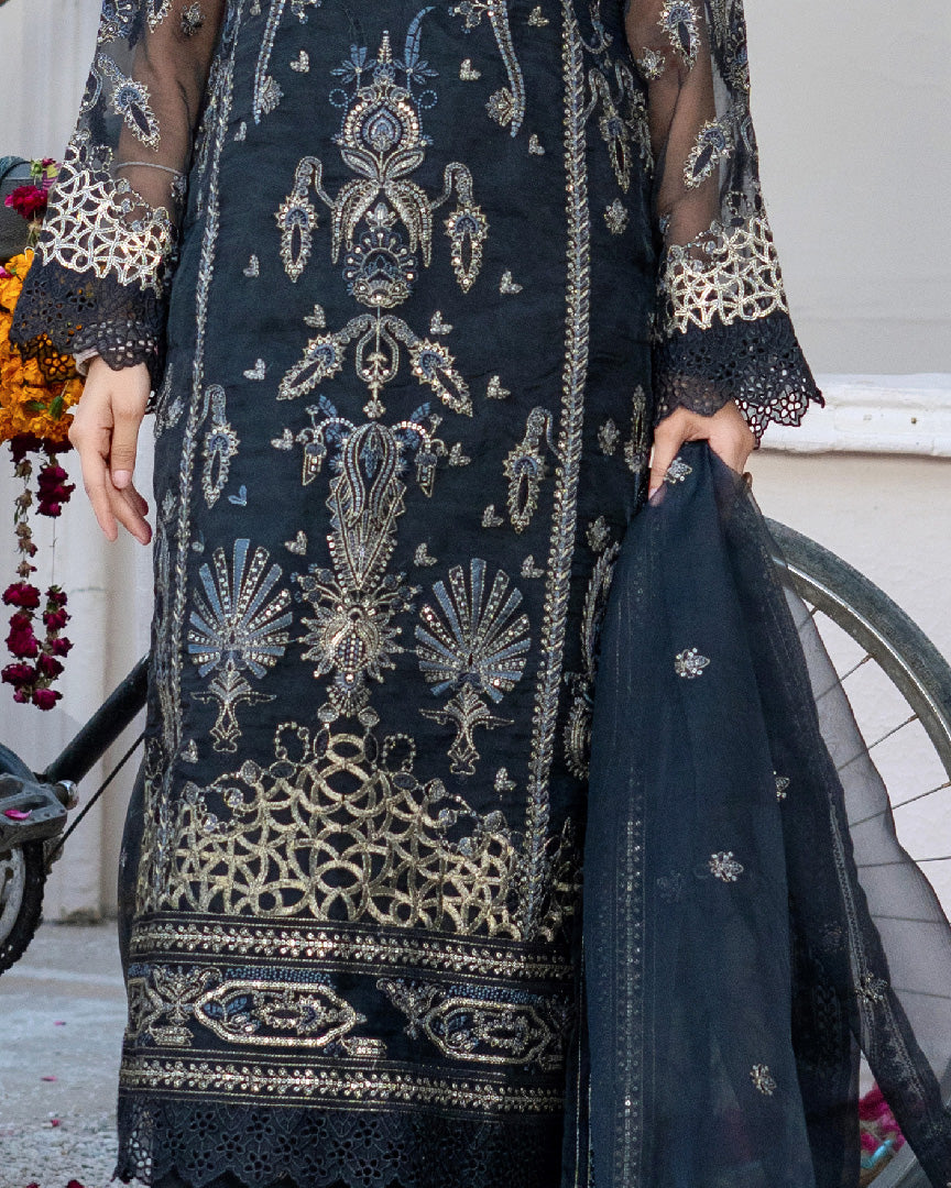 embroidered organza dupatta detail — motif & border