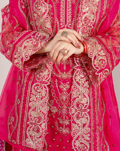 Close up of Surkh Gul’s embroidered organza sleeves showcasing detailed threadwork, traditional motifs, and refined lace borders, a perfect blend of craftsmanship and sophistication.