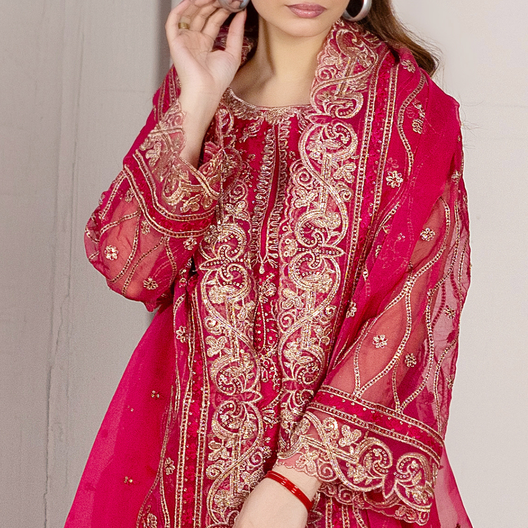 Surkh-Gul organza shirt embroidery detail — motifs & thread work