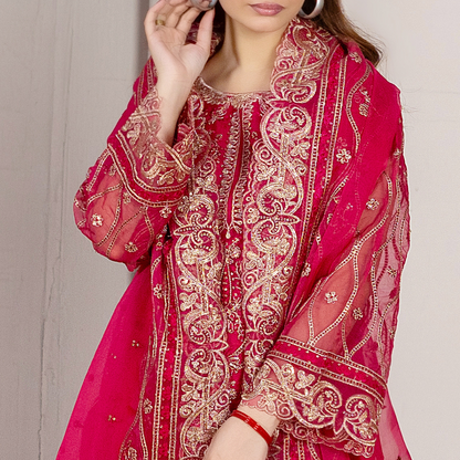Surkh-Gul organza shirt embroidery detail — motifs & thread work